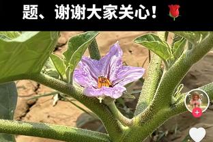 状态不俗！付豪首节7中5高效拿到12分3篮板